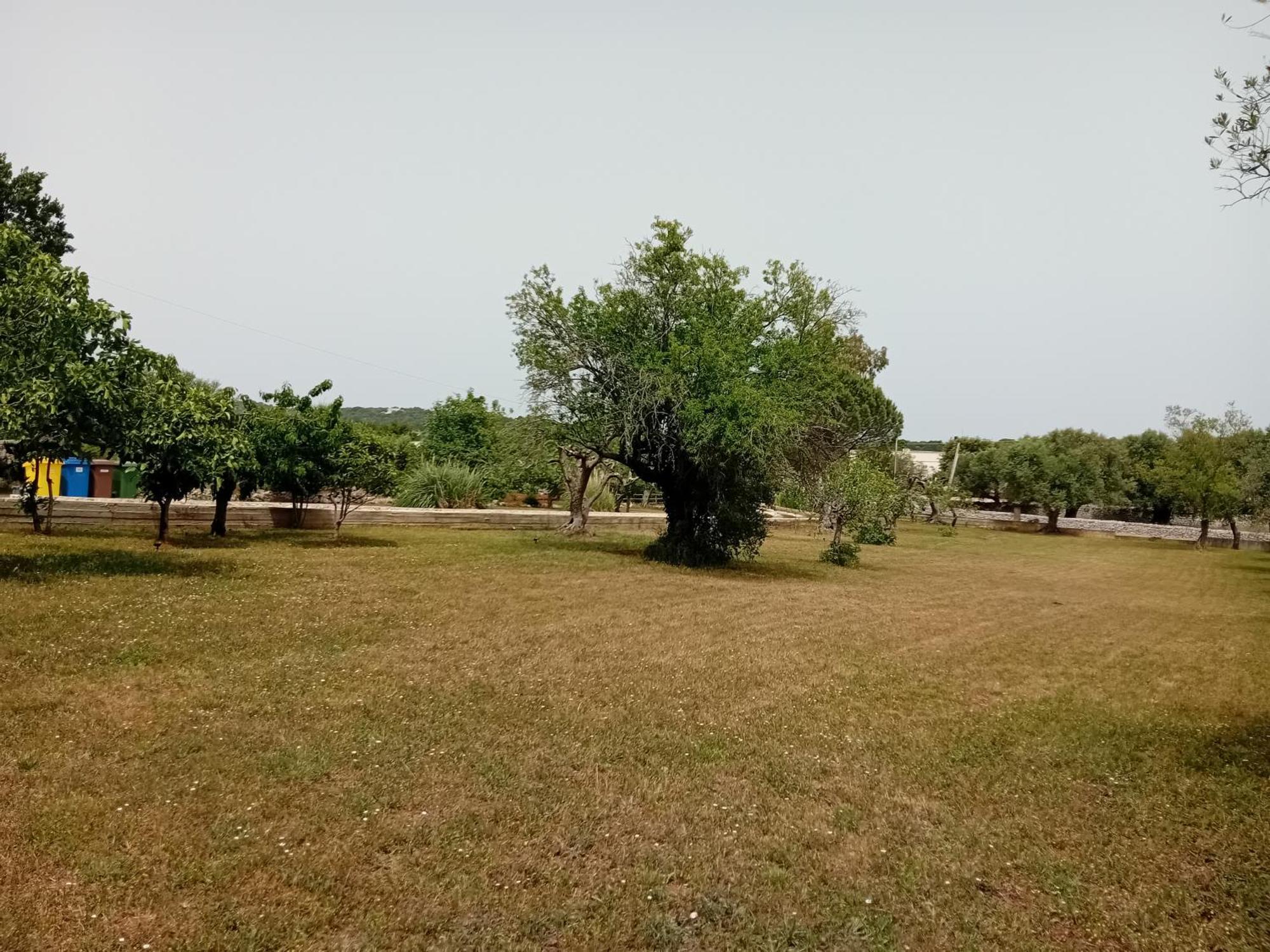 Villa Il Leccio - Trulli Cisternino Exterior photo